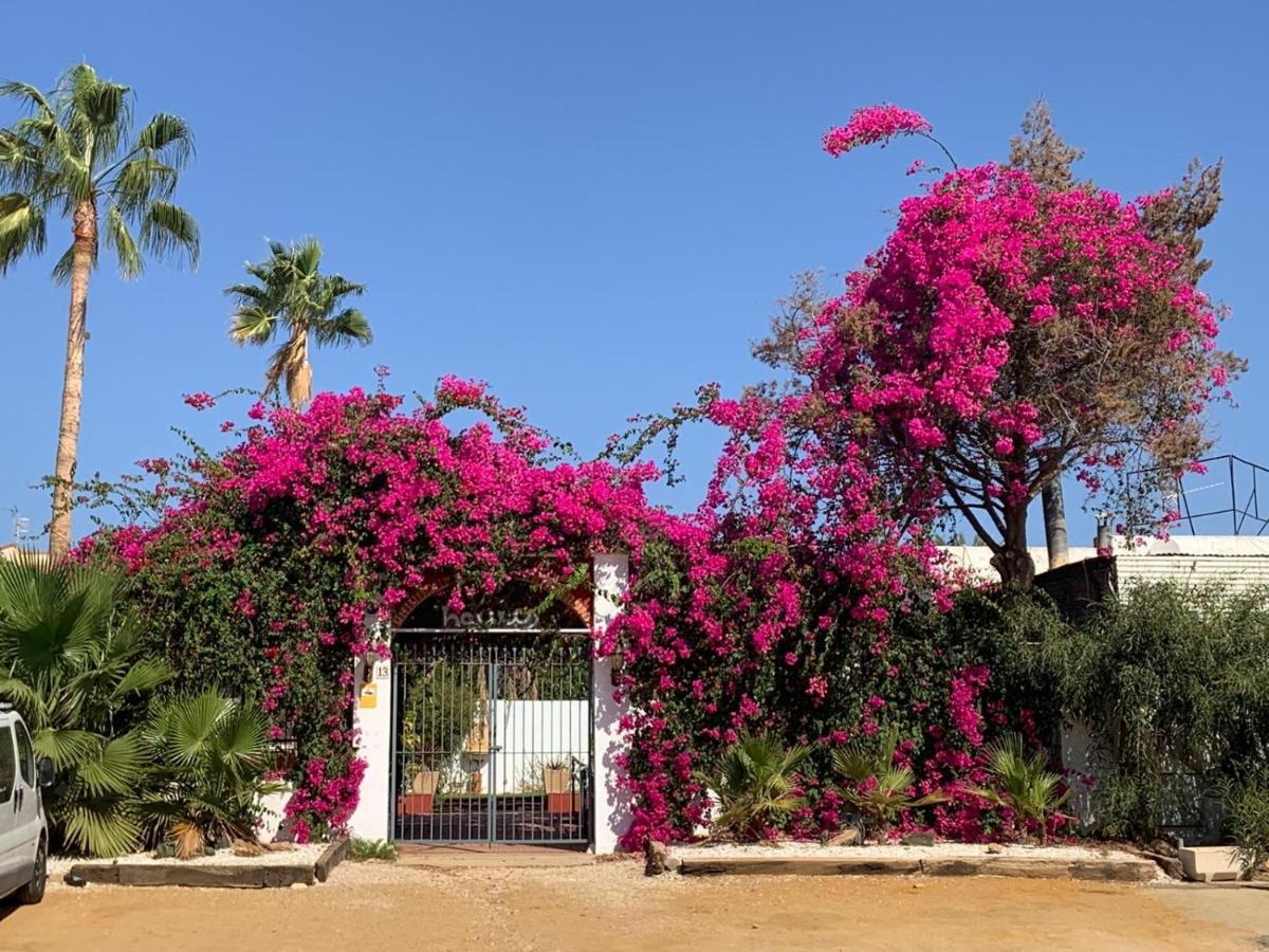 Villa Casa Tranquila San Juan de los Terreros Exterior foto